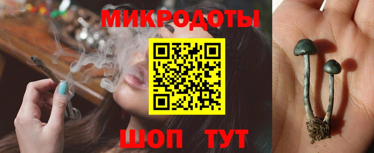 Галлюциногенные грибы мухоморы Рубцовск